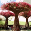 Getty Museum 2