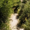 All Paths