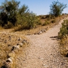 The Two Roads