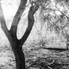 Gathering Place
